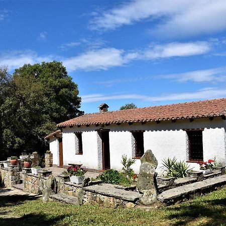 B&B I Menhir Sorgono 外观 照片