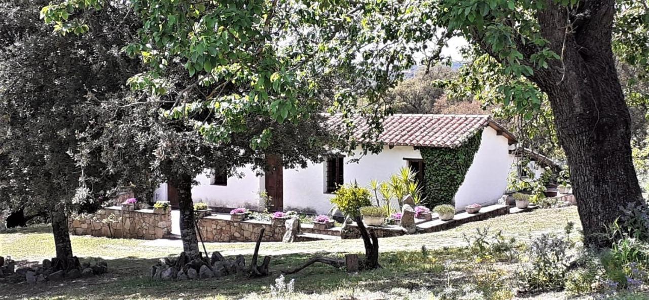 B&B I Menhir Sorgono 外观 照片