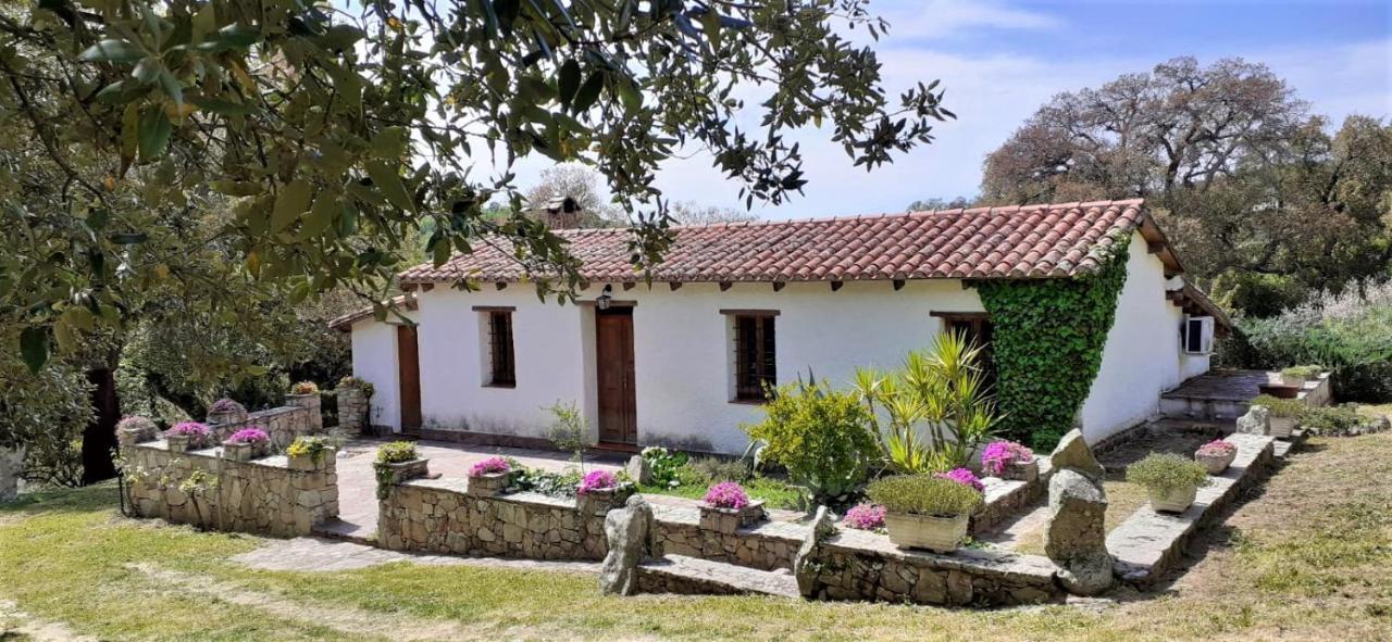 B&B I Menhir Sorgono 外观 照片