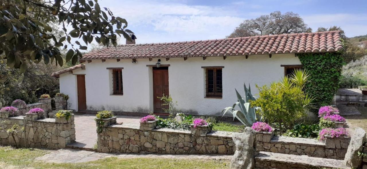 B&B I Menhir Sorgono 外观 照片