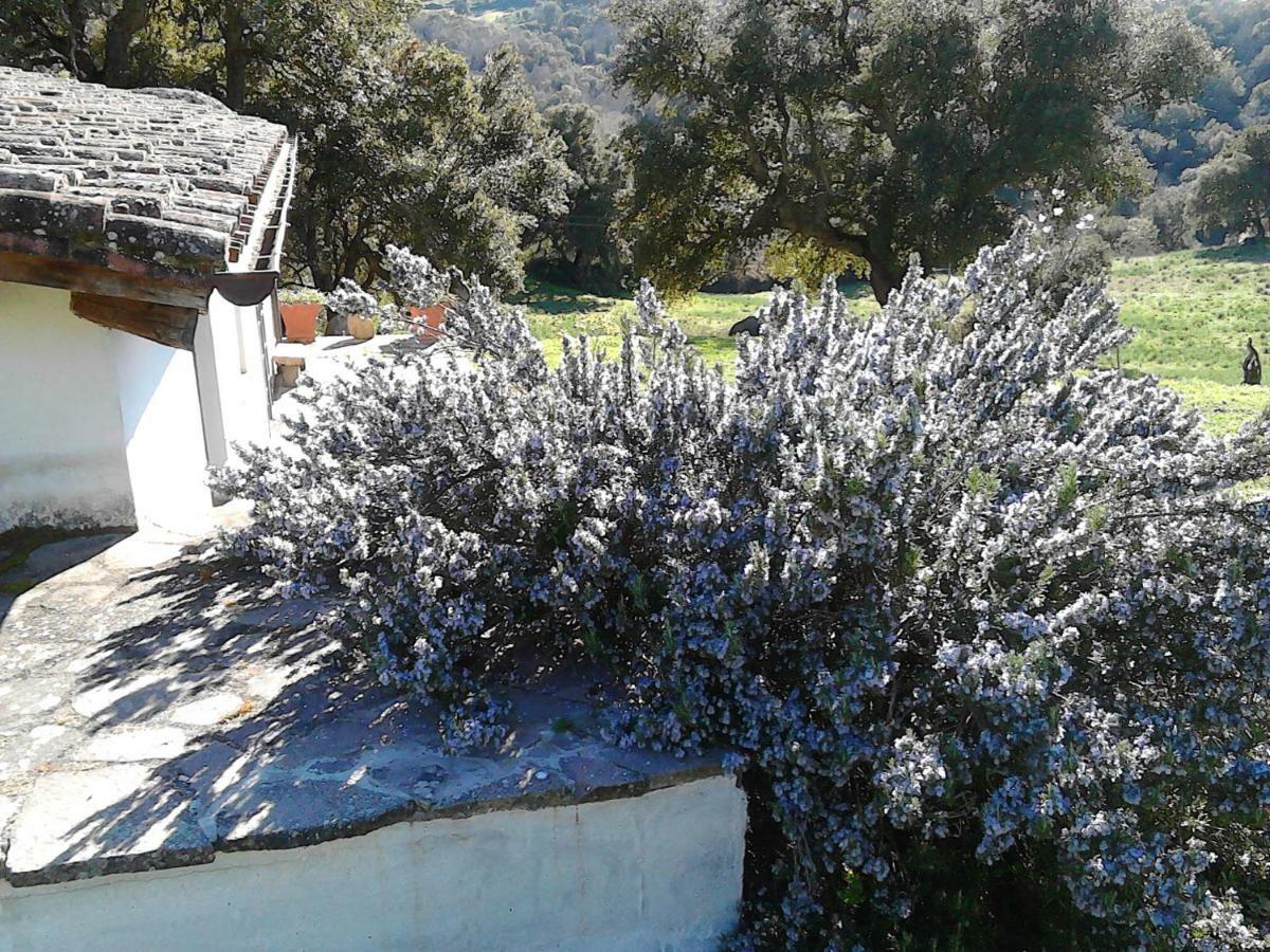 B&B I Menhir Sorgono 外观 照片