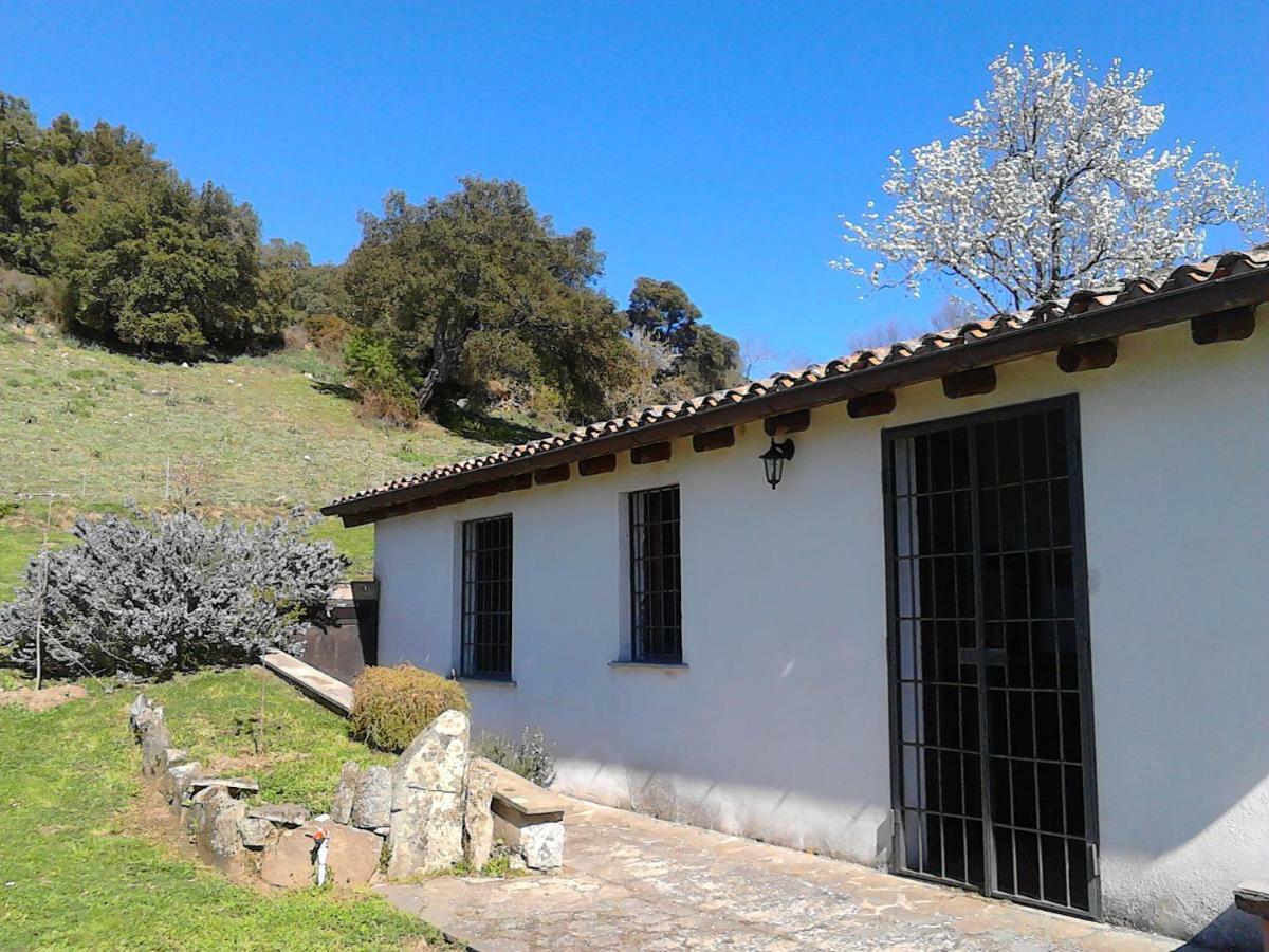 B&B I Menhir Sorgono 外观 照片