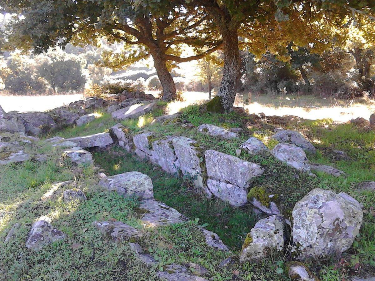 B&B I Menhir Sorgono 外观 照片